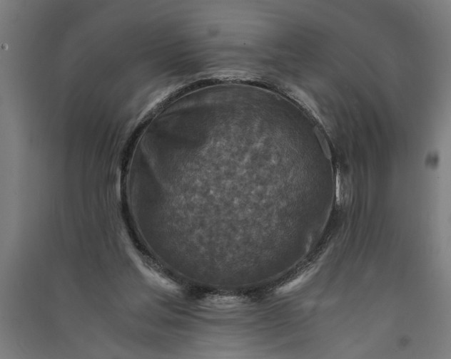 X0000091060205200708201353