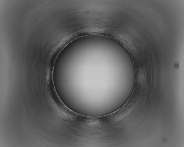 X0000091060206200708201353