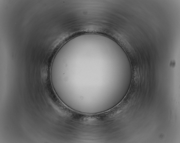 X0000091060208200708201353