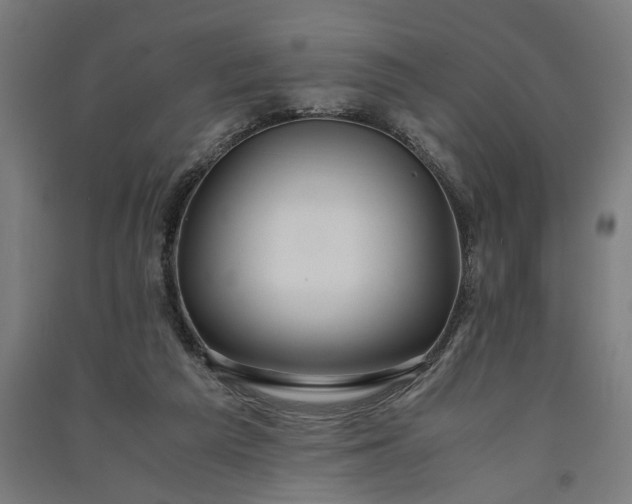 X0000091060209200708201353