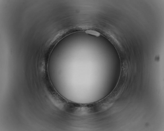 X0000091060212200708201353
