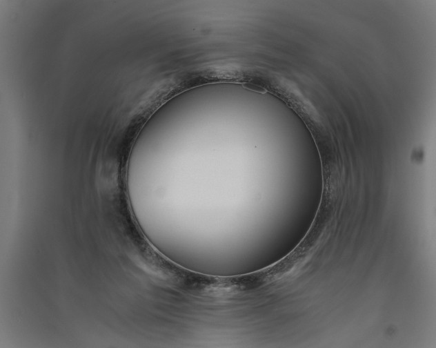 X0000091060213200708201353