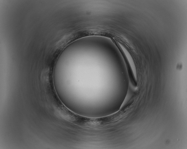 X0000091060217200708201353