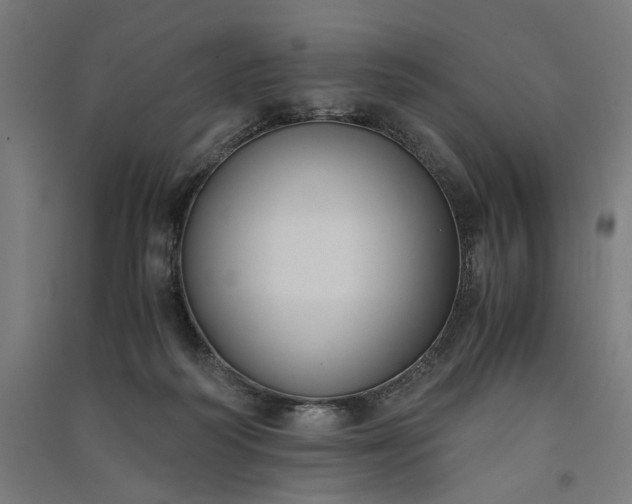 X0000091060218200708201353