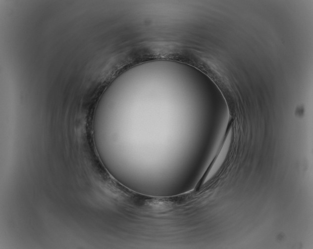 X0000091060221200708201353