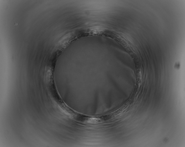 X0000091060222200708201353