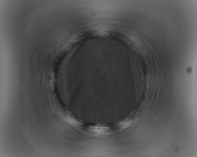 X0000091060223200708201353