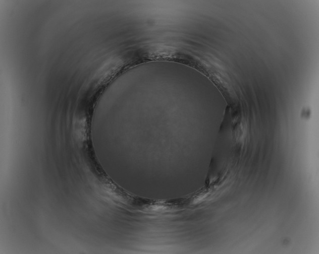 X0000091060224200708201353