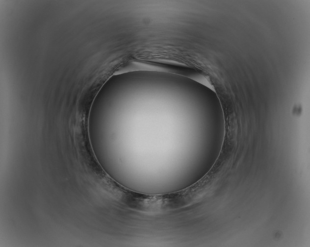 X0000091060225200708201353
