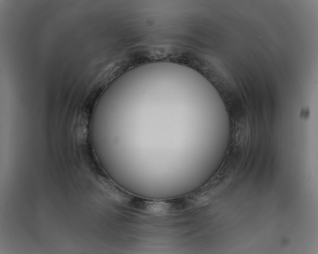 X0000091060226200708201353