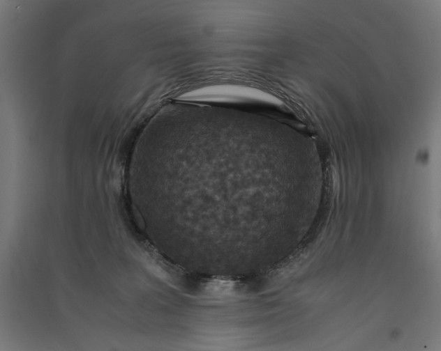 X0000091060227200708201353