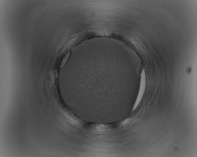 X0000091060229200708201353