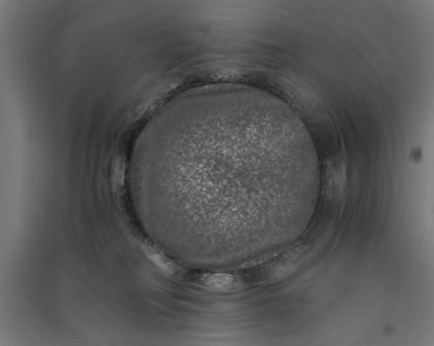 X0000091060230200708201353