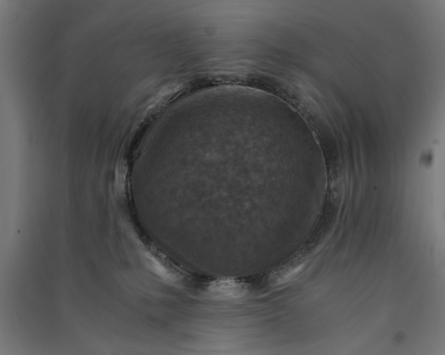 X0000091060231200708201353