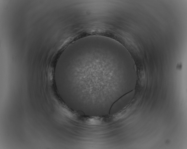 X0000091060232200708201353