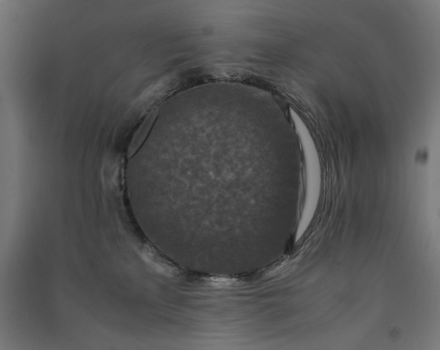 X0000091060233200708201352