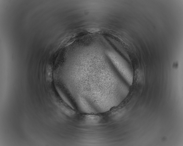X0000091060234200708201352