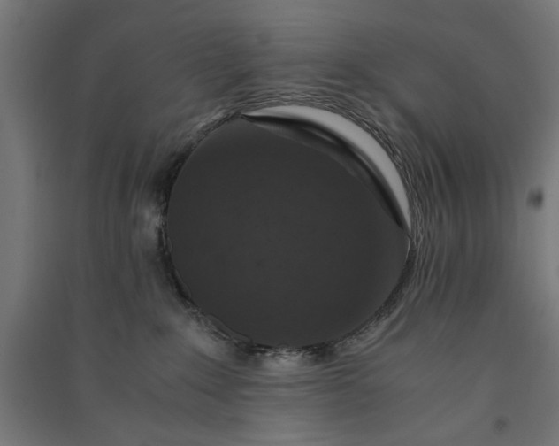 X0000091060235200708201352