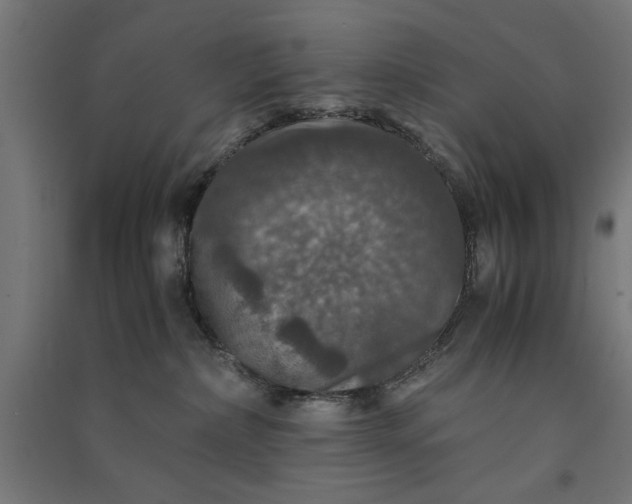 X0000091060236200708201352