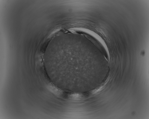 X0000091060237200708201352