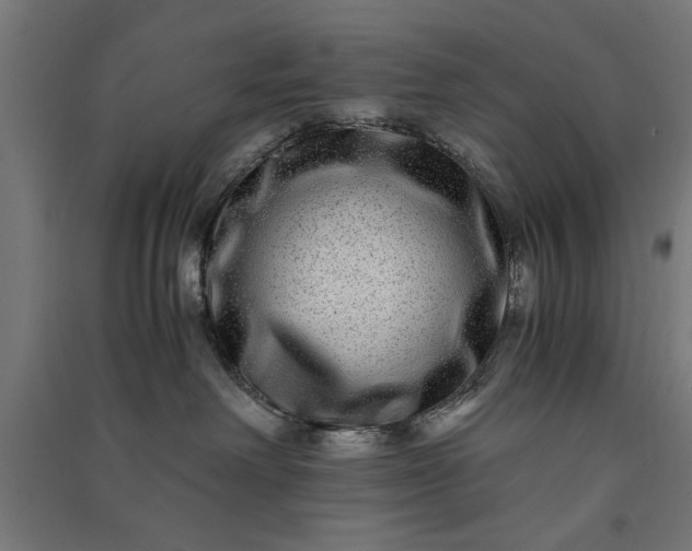 X0000091060238200708201352