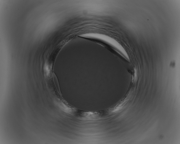 X0000091060239200708201352