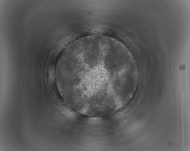 X0000091060240200708201352