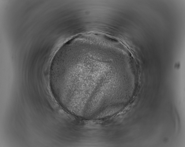 X0000091060241200708201352