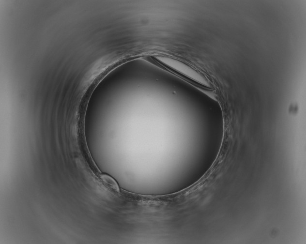 X0000091060242200708201352