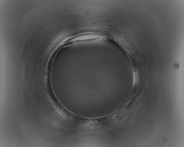 X0000091060243200708201352