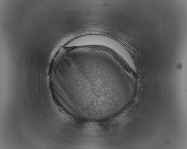 X0000091060244200708201352