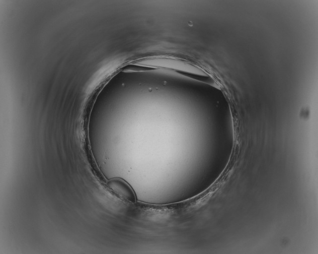 X0000091060245200708201352