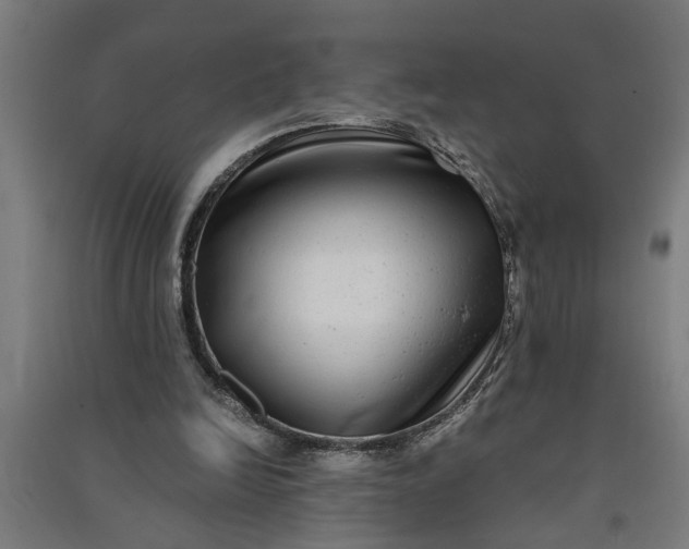 X0000091060246200708201352
