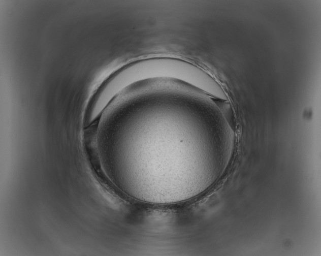 X0000091060248200708201352