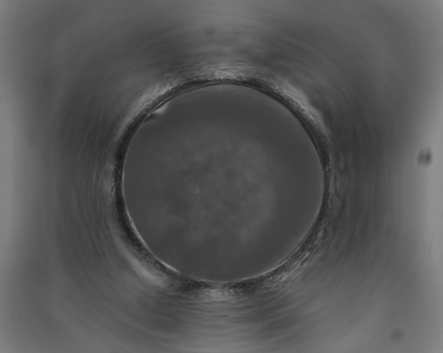 X0000091060250200708201352