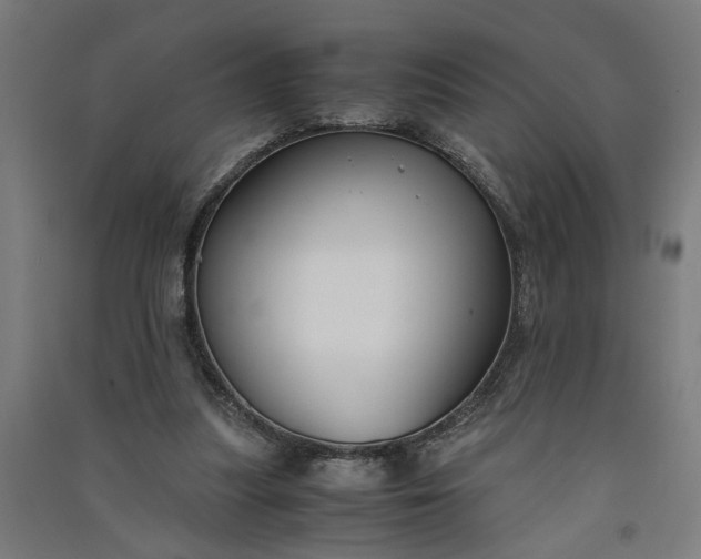 X0000091060251200708201352