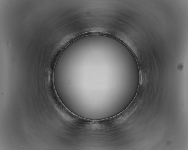 X0000091060253200708201352