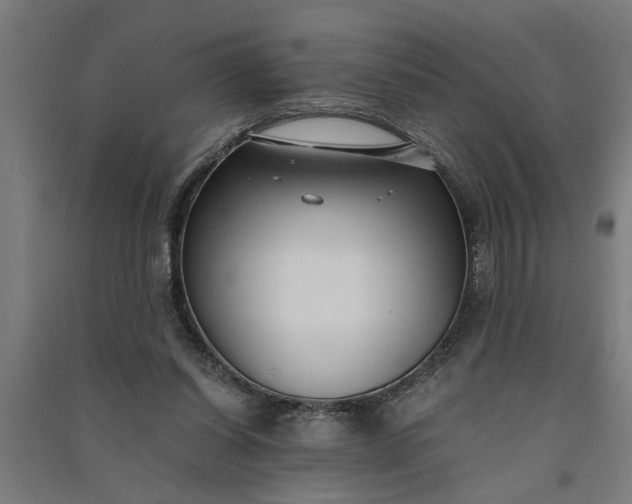 X0000091060254200708201352