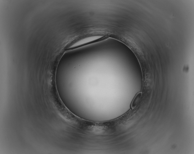 X0000091060255200708201352