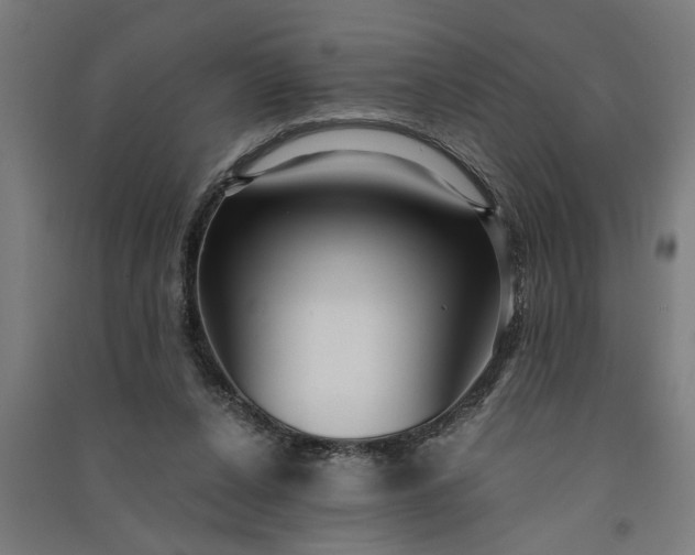 X0000091060256200708201352