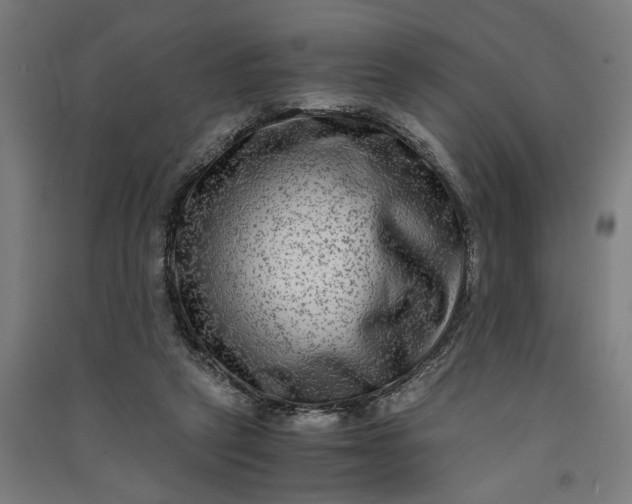 X0000091060257200708201352