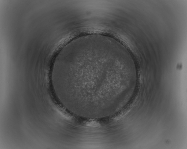 X0000091060258200708201352