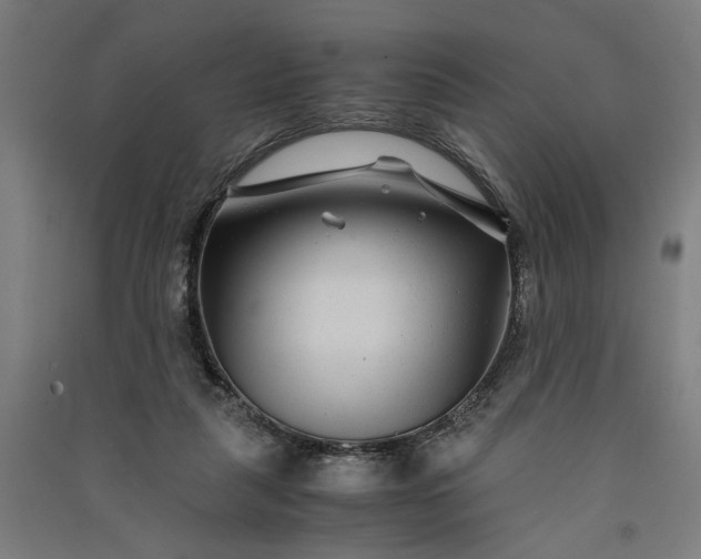 X0000091060259200708201352