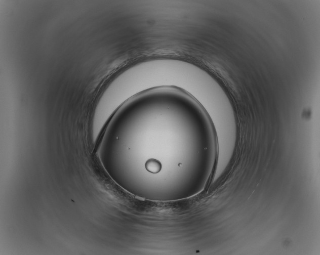 X0000091060260200708201352