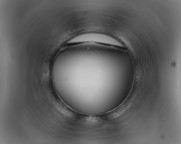 X0000091060261200708201352