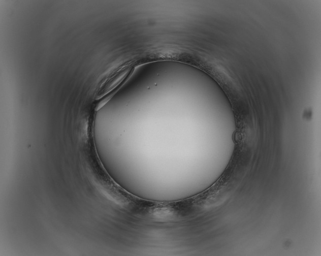 X0000091060262200708201352