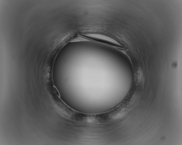 X0000091060264200708201352