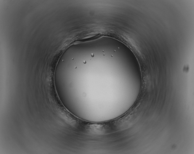 X0000091060265200708201352