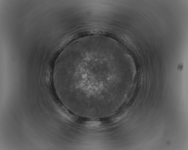 X0000091060266200708201352