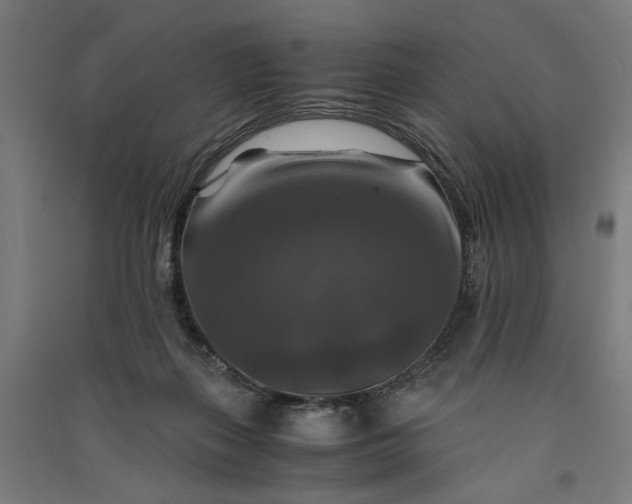 X0000091060267200708201352